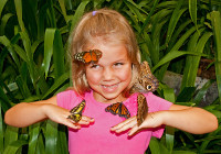 Nature exploring in Costa Rica