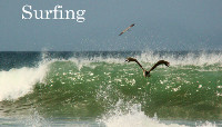 Surfing Beach in Costa Rica