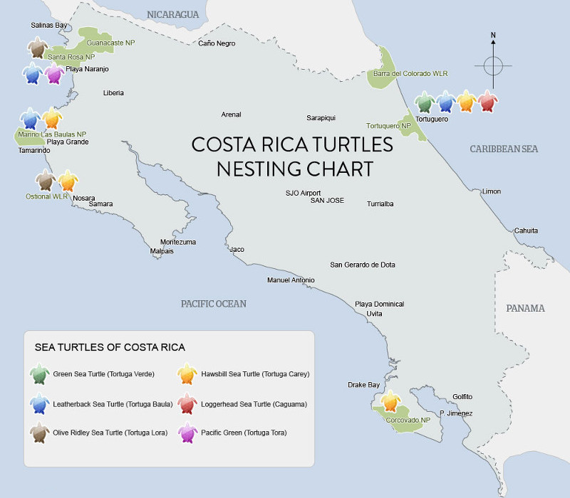 Turtle nesting in Costa rica map