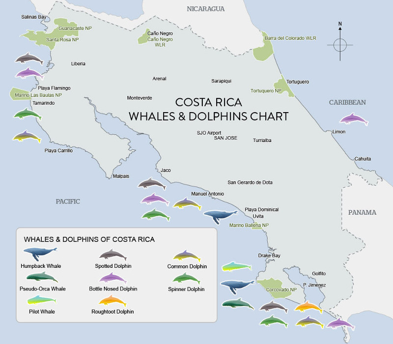 Whale watching spots in Costa Rica map