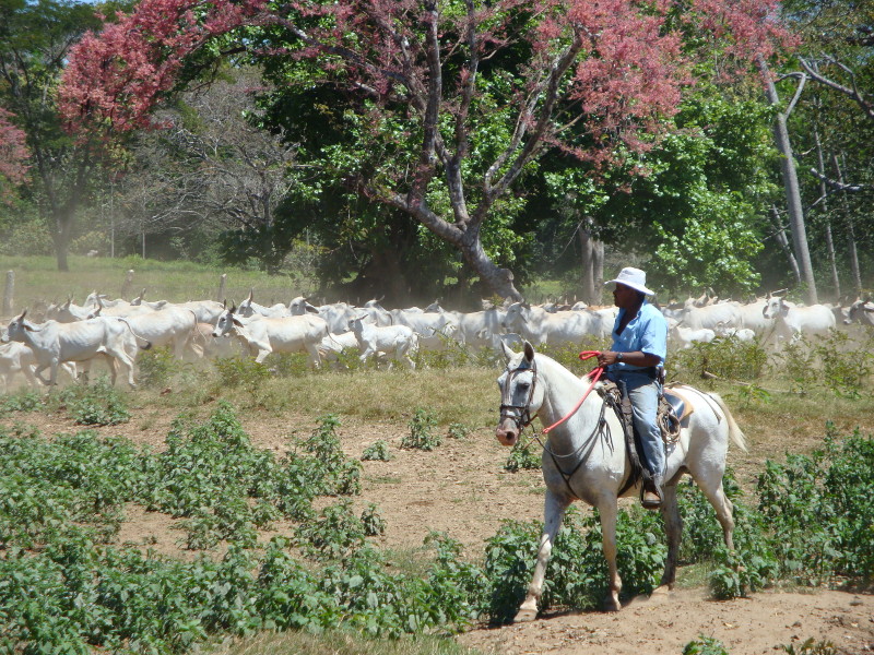 Ranch in Costa Rica