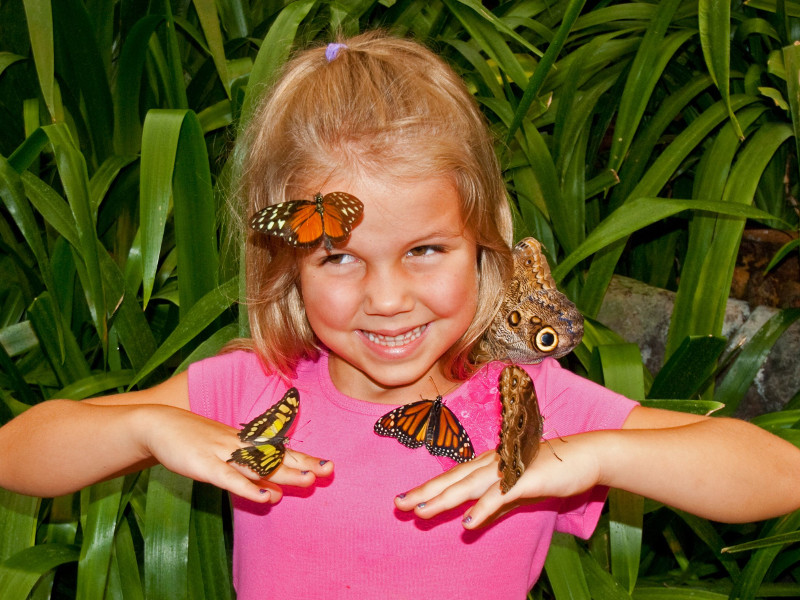 Nature tour in Costa Rica