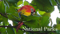 View National Parks in Costa Rica